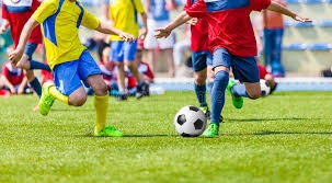 世界杯第1000场比赛精彩对决 日本迎战突尼斯